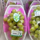 영주농협 파머스마켓 | 영주농협파머스마켓 : 영주 식자재마트 필수템 밤묵 + 호수목장요거트 + 영주 막걸리 선비주