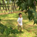 꿀꺽소리 이미지