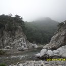 용소농장 이미지