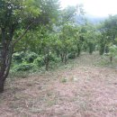 이재1공인중개사사무소 이미지