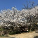 광교호수로418번길 이미지