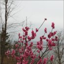 금강목장 이미지