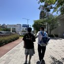 창원 NC파크 원정 직관 후기 주차장 팀스토어 및 먹거리 구장 정보