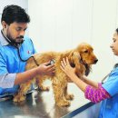 보정동물병원 이미지