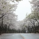 우천중학교 이미지