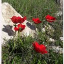 주식회사 일군산업 이미지