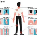 더파스 이미지