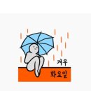 레이바이오 이미지