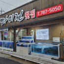 솔담한방병원 | 솔담한방병원 후기 제주도에서 한방병원 가기