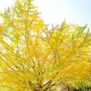 함안향교 이미지