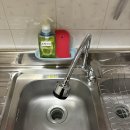 영흥북로 | [내돈내산] 영흥도 서나무집 펜션, 빔 프로젝트로 lck, 야구경기보는 곳! 단골 찐 후기!