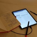 잉글리쉬러닝베이(목동) | 다합 여행 | 다이빙하러 온 다합 두달살기 일기(1)