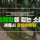 황토메타길 이미지