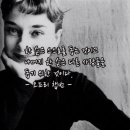오드리 이미지