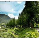 블랭크 펜션 이미지