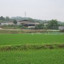 해평 금호리 이미지