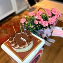 비알배스킨라빈스홍대상상마당 | [마포구/홍대맛집]배스킨라빈스 : 진정한 티라미수 컬렉션 하프갤론 배달 후기