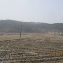 샘실목장 이미지