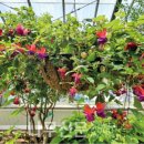 나무와창 이미지