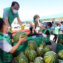 엄궁농산물시장 이미지