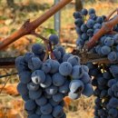 의선당한의원 이미지