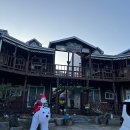 처음처럼 애견펜션 | [경주 파파야 애견 펜션] 경주 처음 가본 가성비 애견 펜션 후기