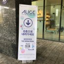 서울, 이상한 나라의 앨리스 전시회 (ALICE : Into The Rabbit Hole)