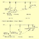 송어 얼음낚시 전문기법 이미지