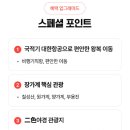 알파항공여행사