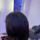 지니헤어플러스