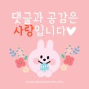도니친구미나리 네이버블로그