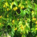 섬도마을회관 이미지