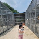 워시파크 봉곡 | 구미동물원 먹이체험 가능한 쥬쥬동산 방문 후기