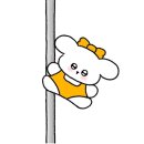 모모폴스튜디오