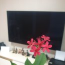 정원사처럼 생각하고 목수처럼 일해라 이미지