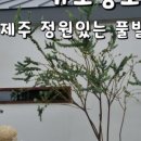 소랑호게 이미지