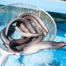 마산건어물상회 이미지