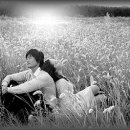 구름따라 그곳에가면 이미지