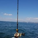 일진캠핑민박 | 오천 갑오징어 낚시 사이즈 커졌네.