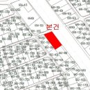비아트리스 주식회사
