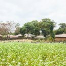 평창시외버스터미널 이미지