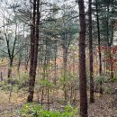 사드락 선비 길 이미지