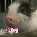 민지 농장 이미지