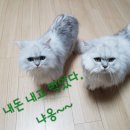 지보참우마을 영농조합법인 이미지