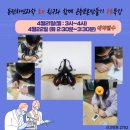 둔전하연과학