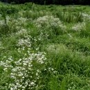 동산흑염소농장 이미지