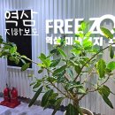 프리존 | 역삼역 미세먼지 프리존 지하보도 가는 방법 방문 후기