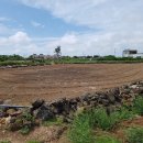 일과리-1 이미지