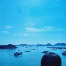 군산신시담 이미지