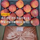 라인청과식품마트 | 경주 현지인 과일가게 용황청과 | 설날 추석 명절 과일 선물세트 추천